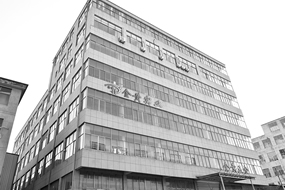 別墅銅門(mén)